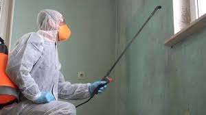  Clay, CA Mold Removal & Remediation Pros