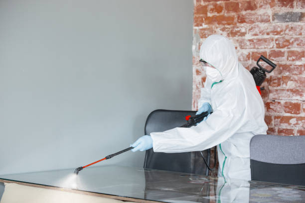 Best Mold Removal for HVAC Installations  in Clay, CA